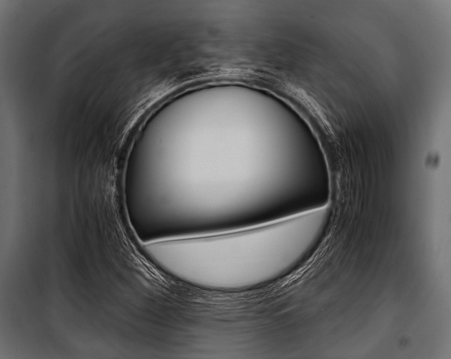 X0000100881260200806201139