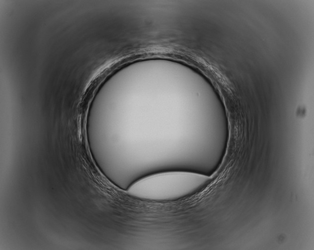X0000100881262200806201139