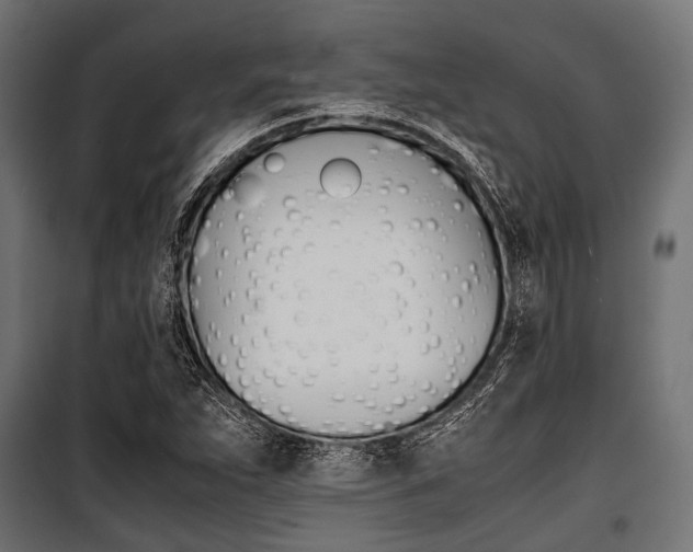 X0000100881263200806201139