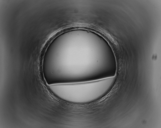 X0000100881264200806201139