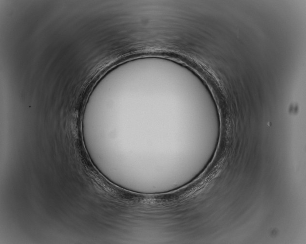 X0000100881265200806201139