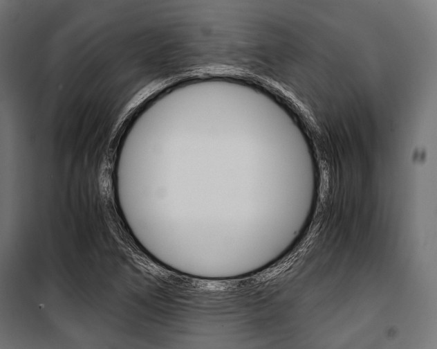 X0000100881266200806201138