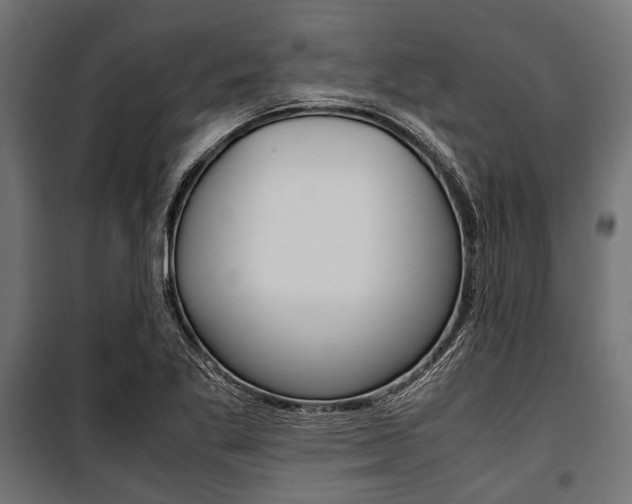 X0000100881269200806201138