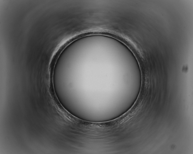 X0000100881270200806201138
