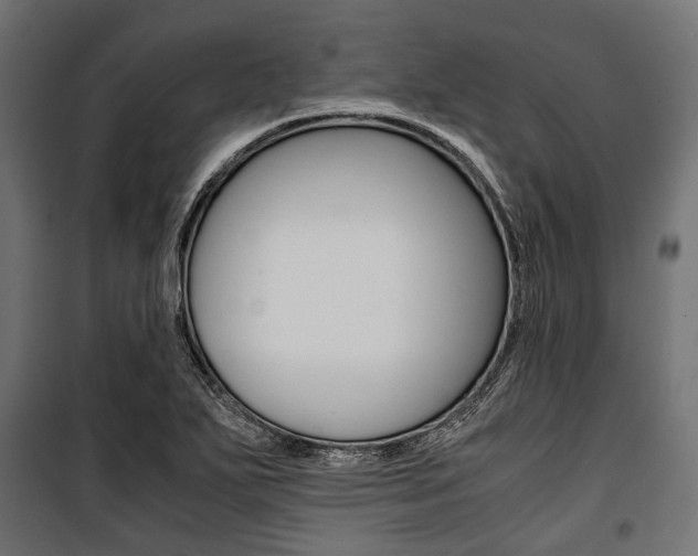 X0000100881271200806201138