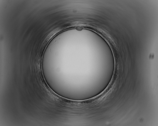 X0000100881273200806201138
