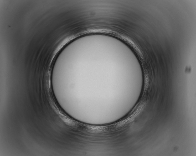 X0000100881274200806201138