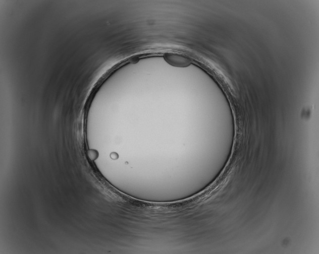 X0000100881275200806201138