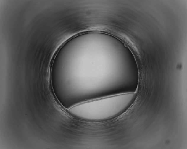 X0000100881276200806201138