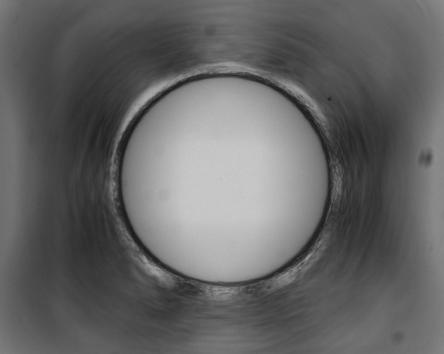 X0000100881278200806201138