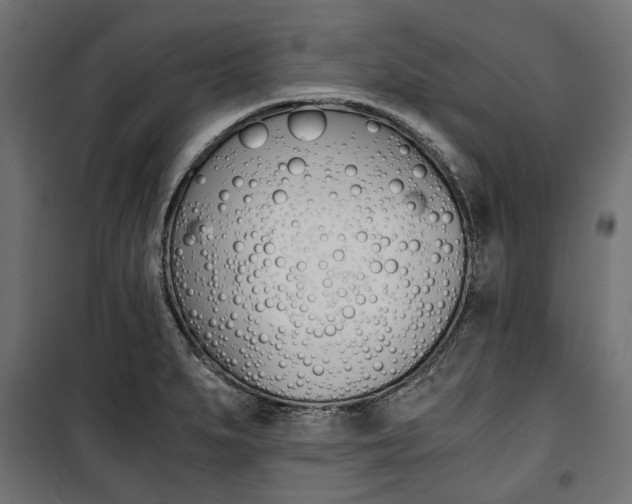 X0000100881279200806201138