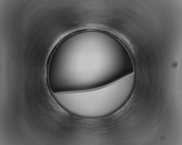 X0000100881280200806201138