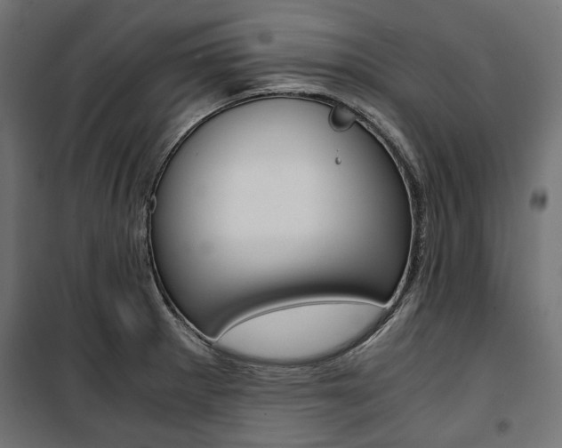 X0000100881281200806201138