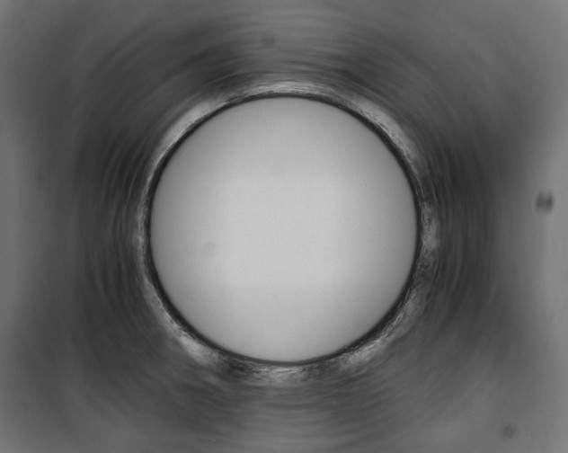 X0000100881282200806201138