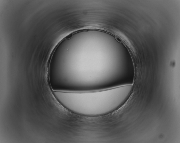 X0000100881284200806201138