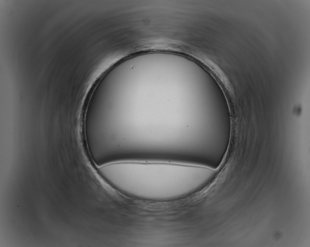 X0000100881285200806201138