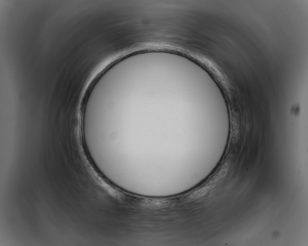 X0000100881286200806201138