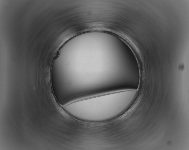 X0000100881289200806201138