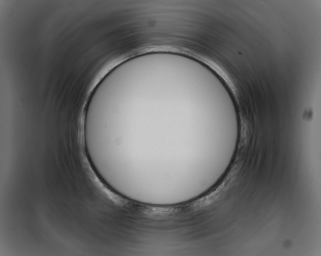 X0000100881290200806201138