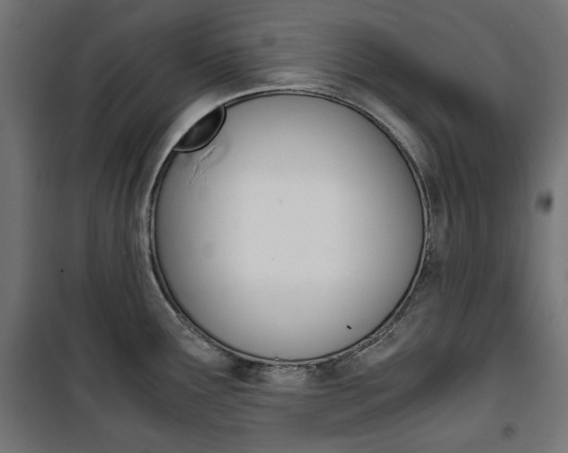 X0000100881291200806201138