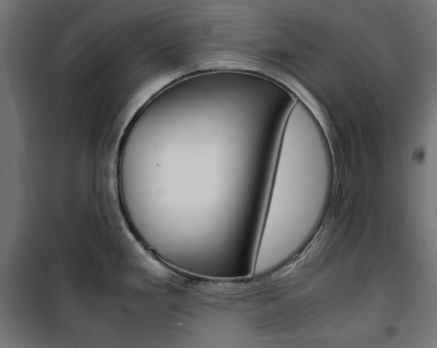 X0000100881293200806201138