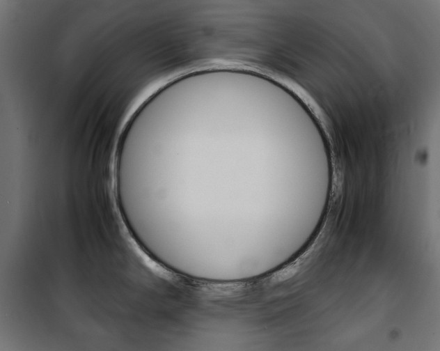X0000100881294200806201138