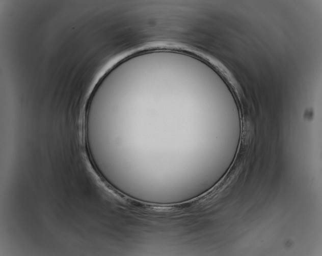 X0000100881295200806201138