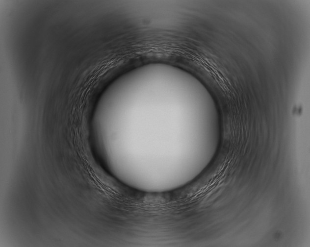 X0000100881297200806201137