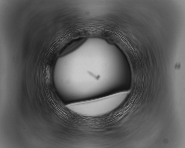 X0000100881298200806201137