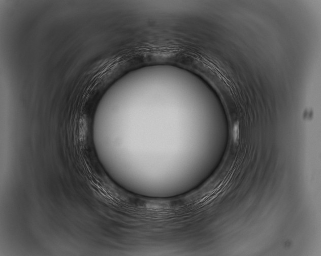 X0000100881299200806201137