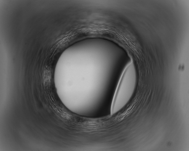 X0000100881300200806201137