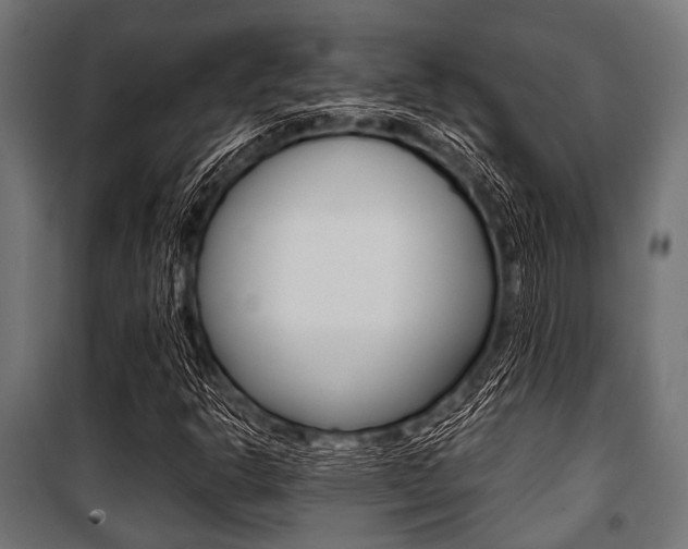 X0000100881302200806201137