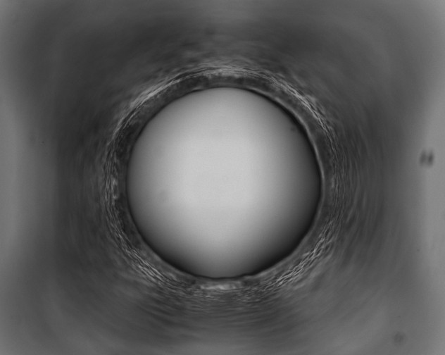 X0000100881303200806201137