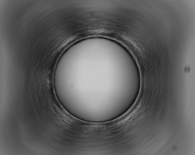 X0000100881305200806201137