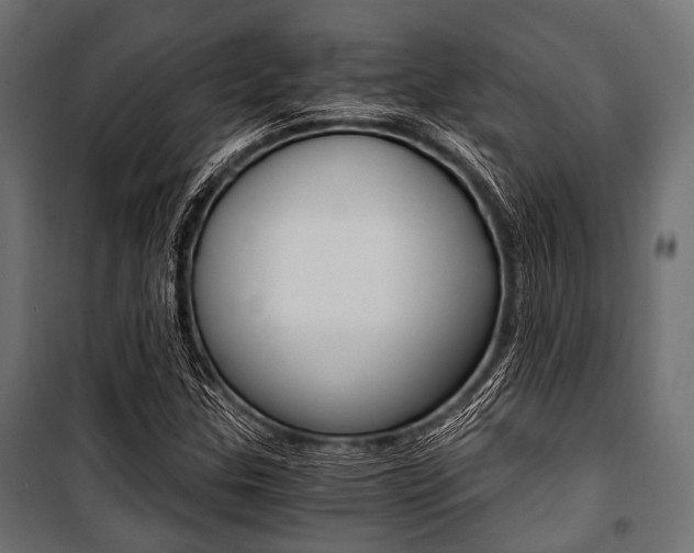 X0000100881307200806201137