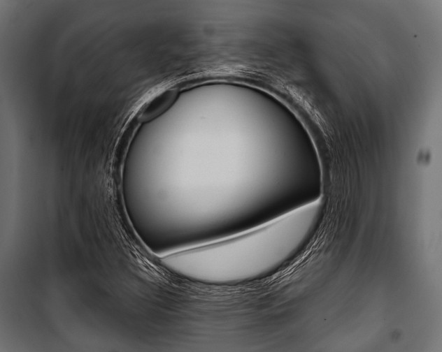 X0000100881308200806201137