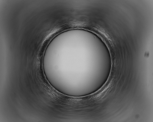 X0000100881309200806201137