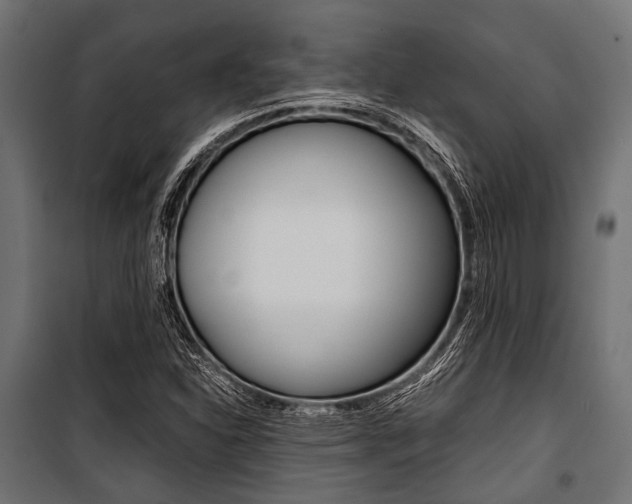 X0000100881310200806201137