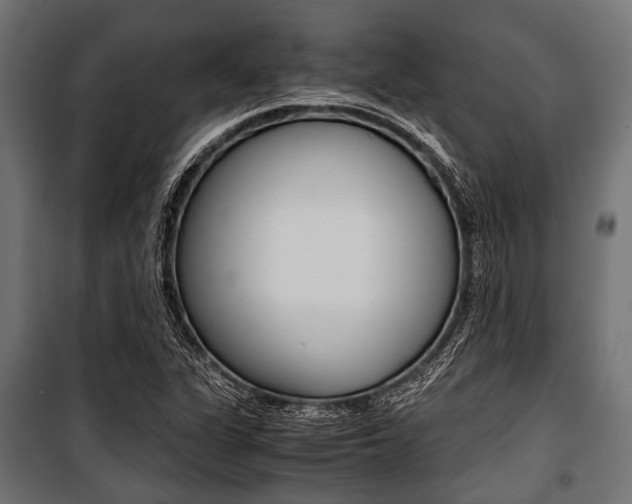 X0000100881311200806201137