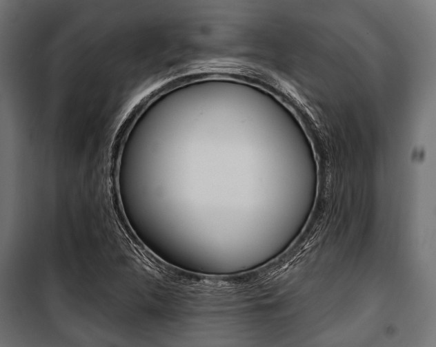 X0000100881312200806201137