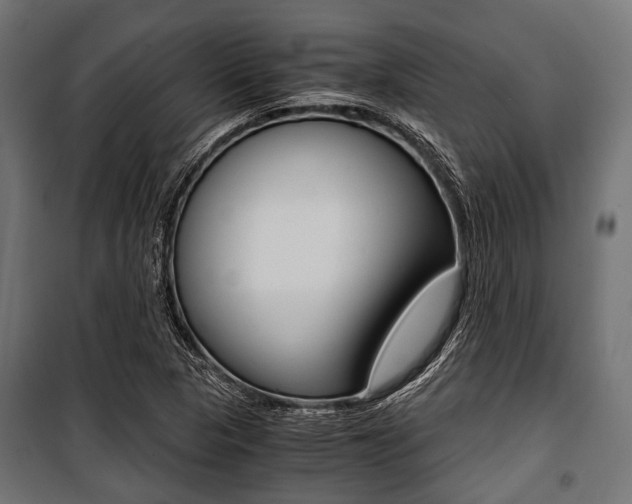 X0000100881313200806201137