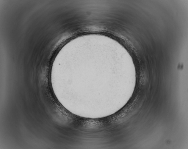 X0000100881314200806201137