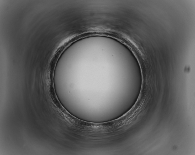 X0000100881315200806201138