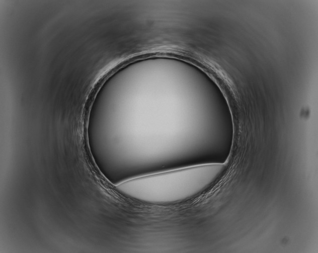 X0000100881316200806201138