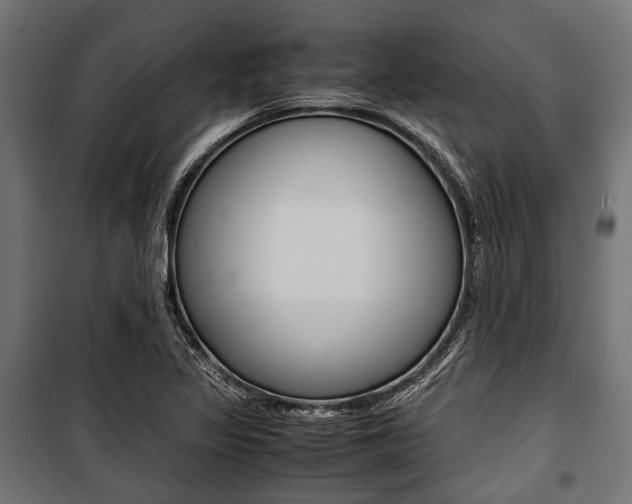 X0000100881317200806201138