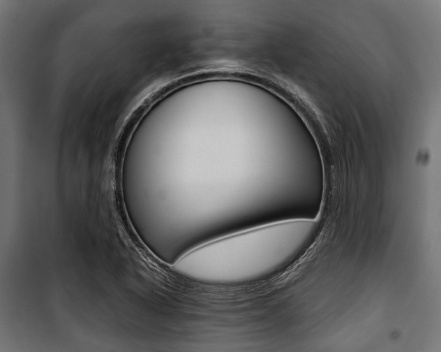 X0000100881318200806201138