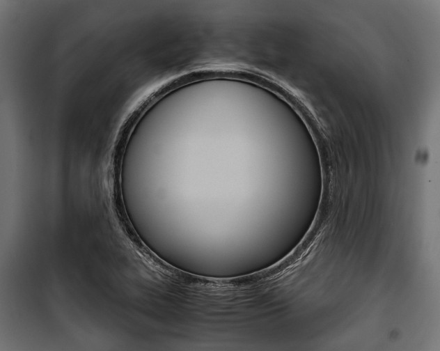 X0000100881319200806201138