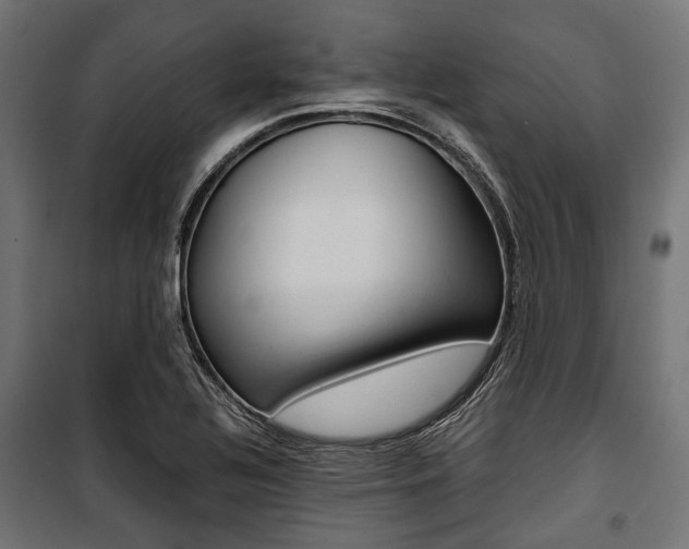 X0000100881320200806201138