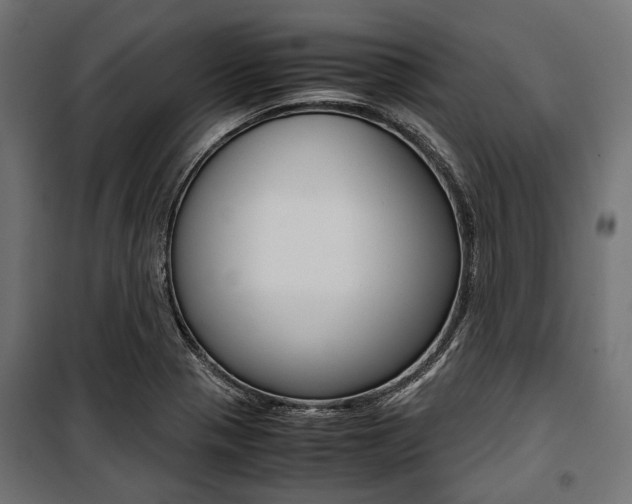 X0000100881321200806201138