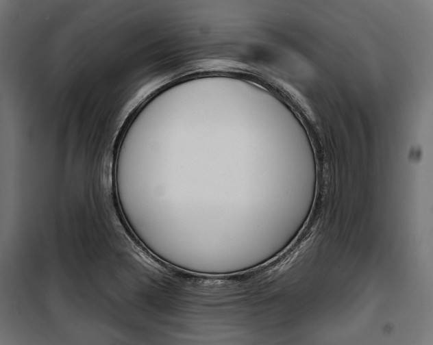 X0000100881322200806201138